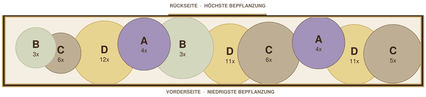 Pflanzplan: schmales Beet im Schatten auf Sandboden, Zeichnung im Maßstab