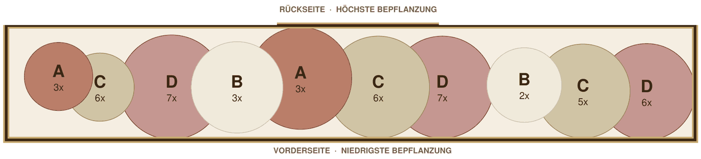 Pflanzplan: schmales Beet in der Sonne auf Sandboden, Zeichnung im Maßstab