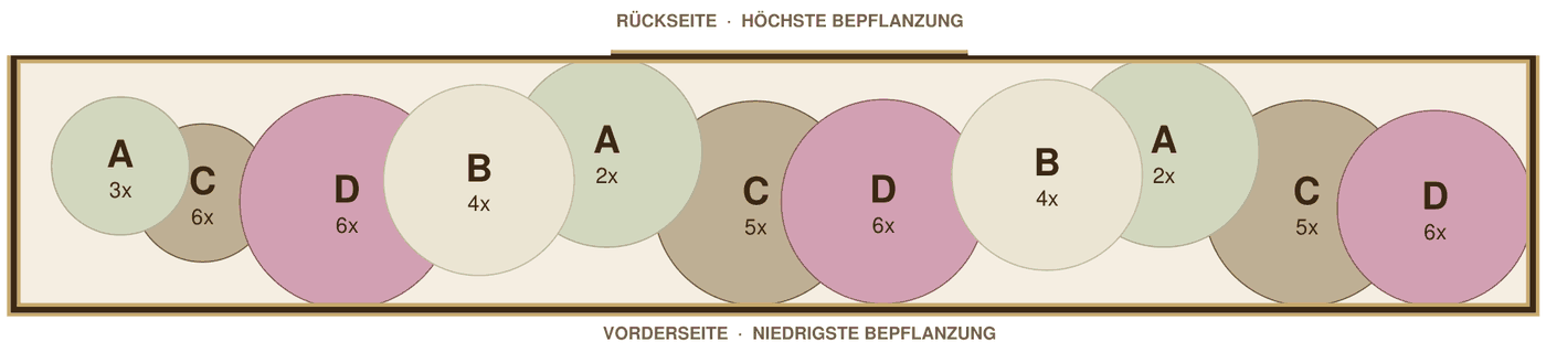 Pflanzplan: schmales Beet im Schatten auf Tonboden, Zeichnung im Maßstab