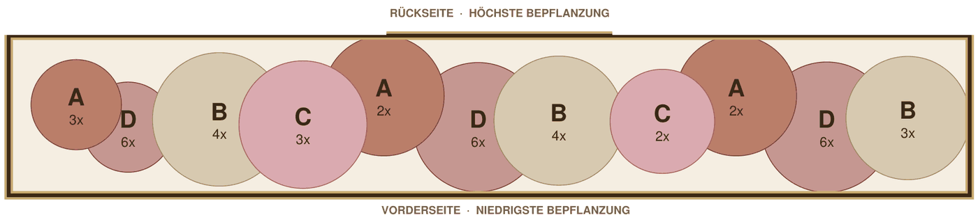 Pflanzplan: schmales Beet in der Sonne auf Tonboden, Zeichnung im Maßstab